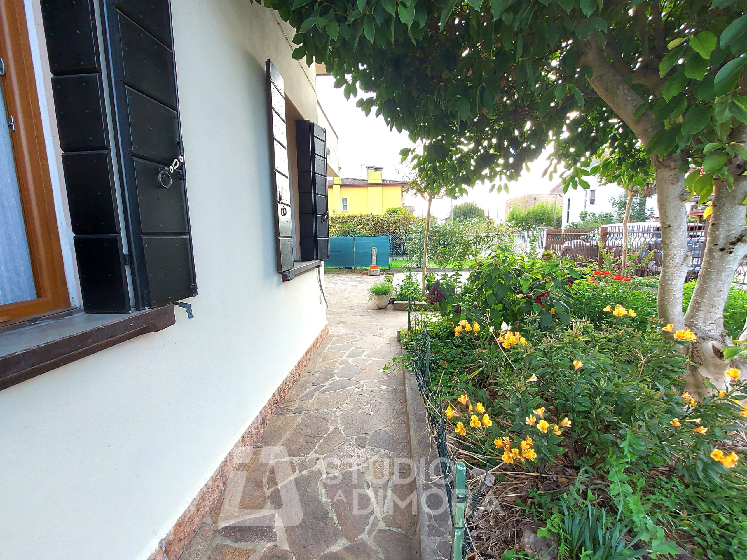 20251001_095107 - Copia