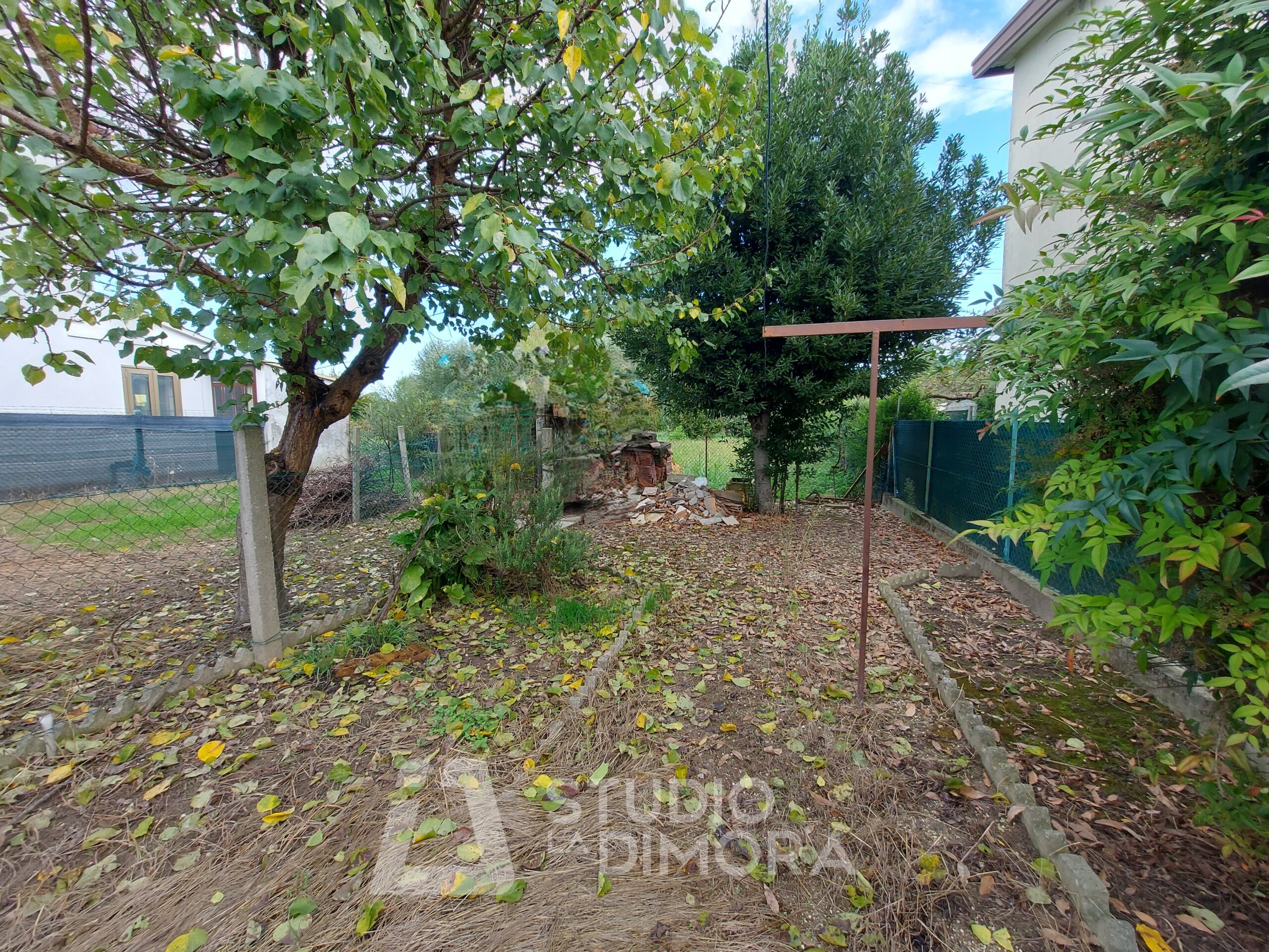 20251001_100236 - Copia